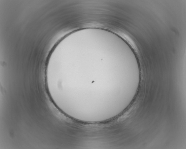 X0000090971000200708021138