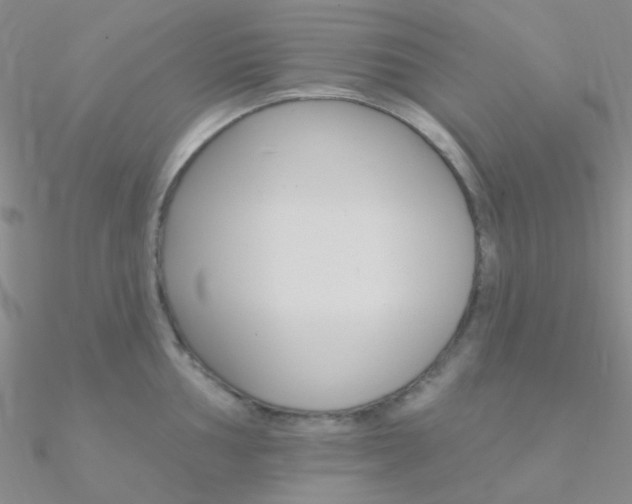 X0000090971002200708021138
