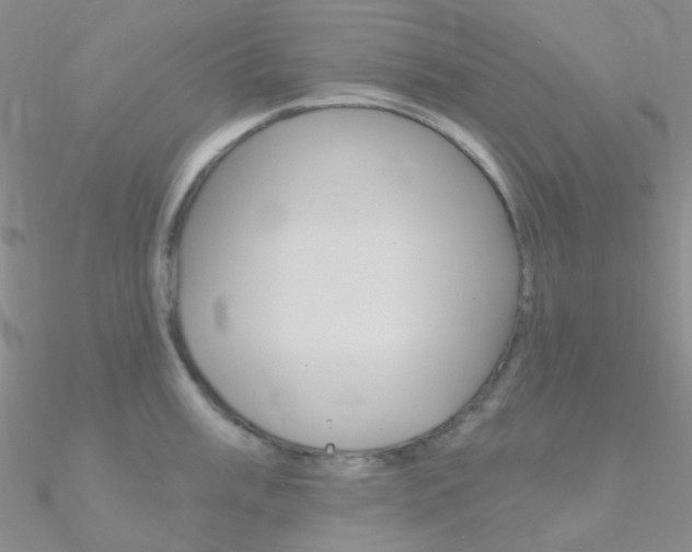 X0000090971003200708021138
