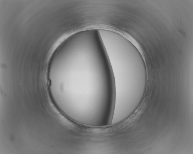 X0000090971005200708021138