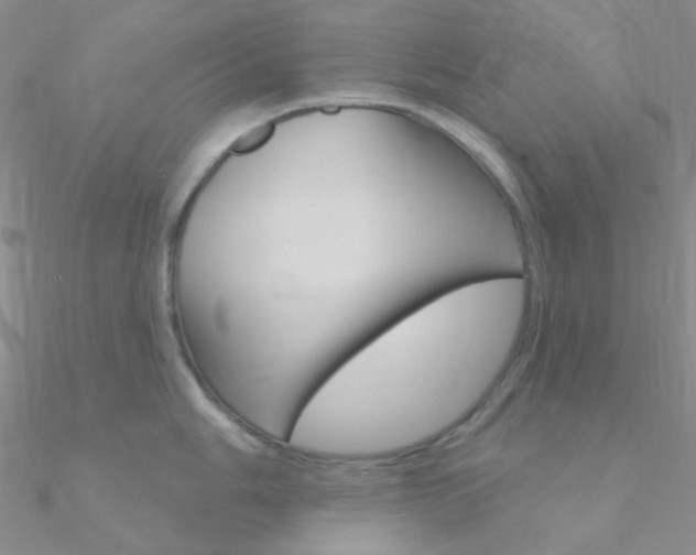 X0000090971006200708021138
