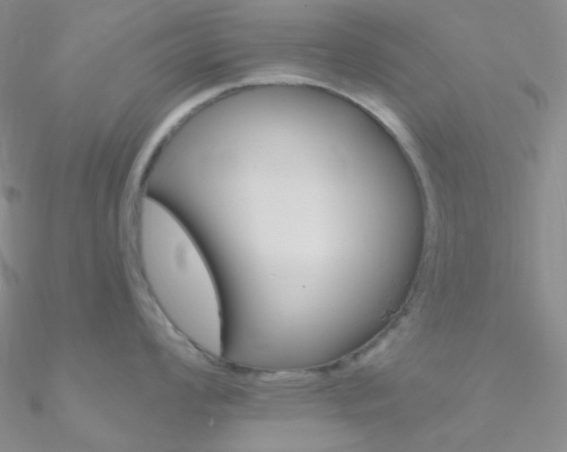 X0000090971008200708021138