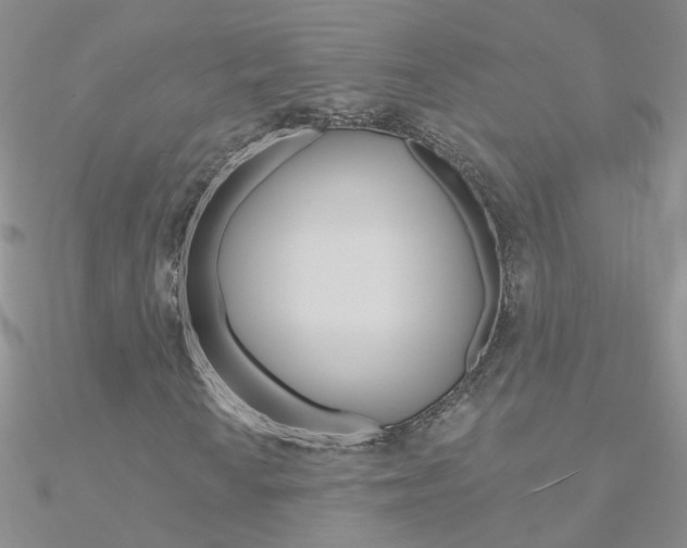 X0000090971010200708021138