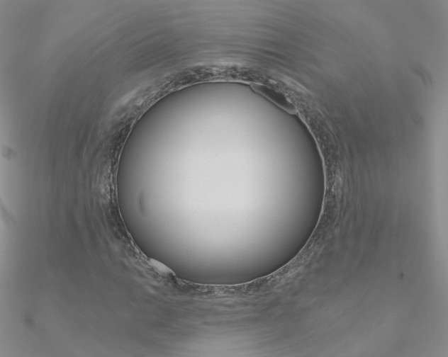 X0000090971014200708021138