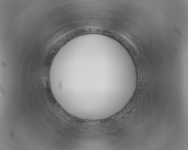X0000090971015200708021138