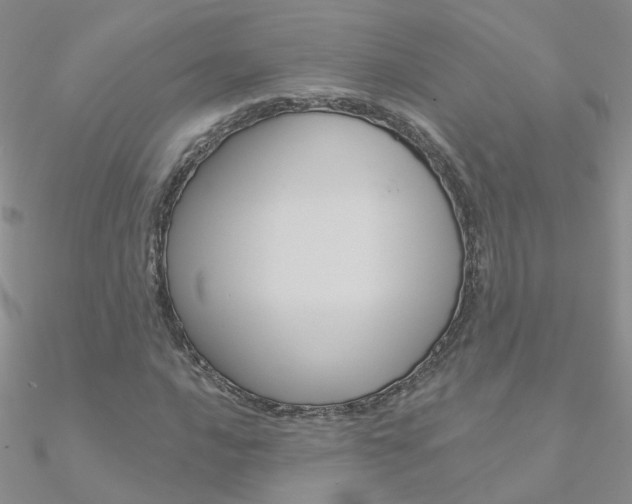 X0000090971016200708021138