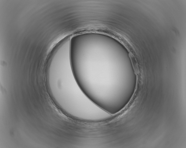 X0000090971018200708021138