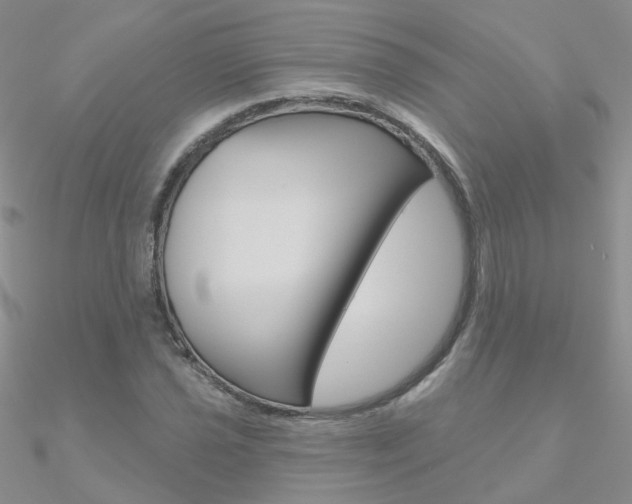 X0000090971021200708021138