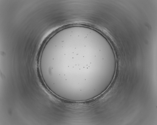 X0000090971024200708021138