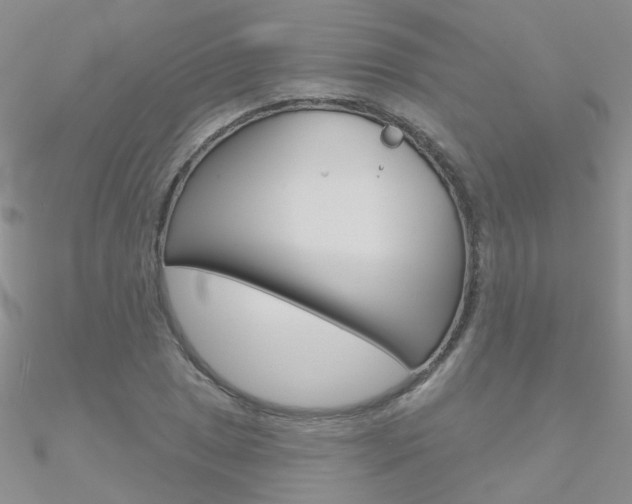 X0000090971025200708021138