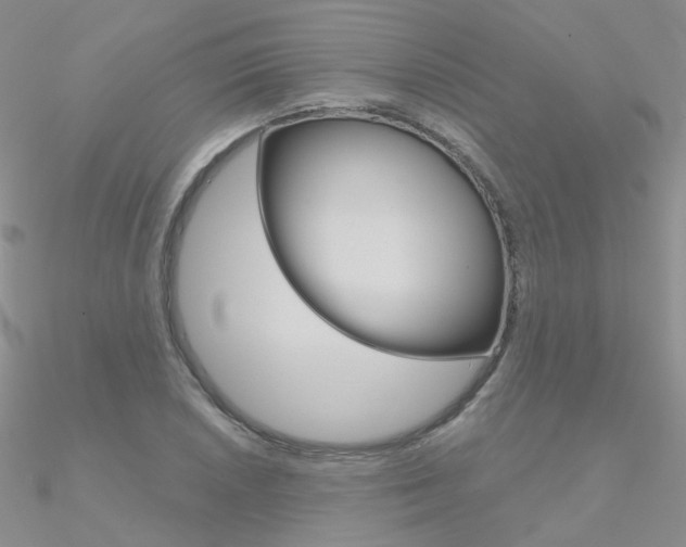 X0000090971026200708021138