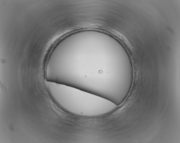 X0000090971027200708021138