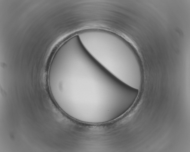 X0000090971029200708021138