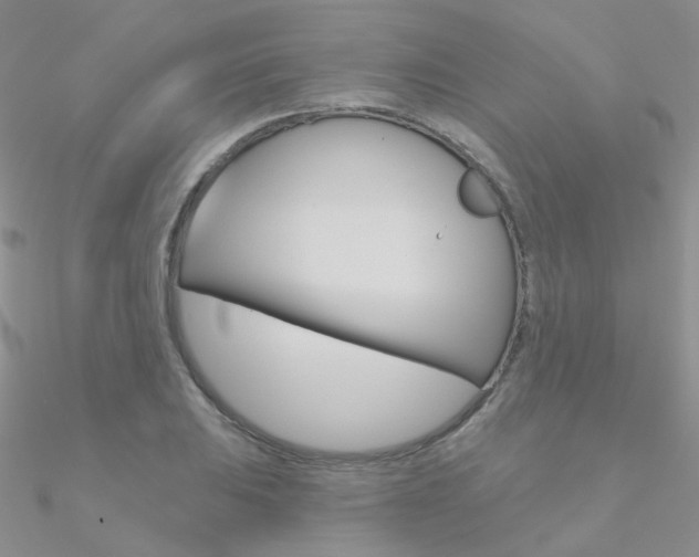 X0000090971031200708021138
