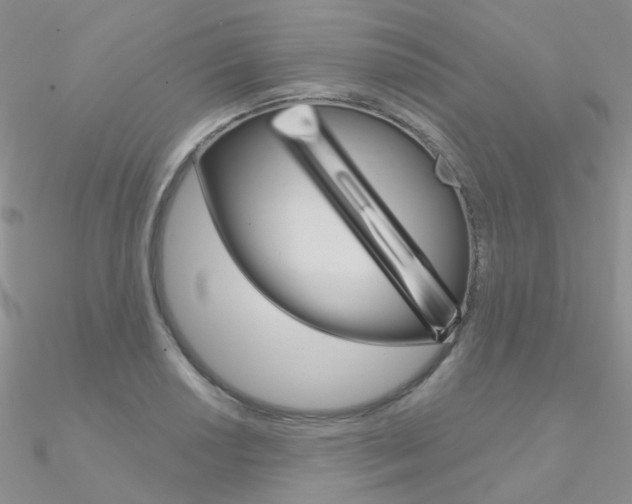 X0000090971034200708021138