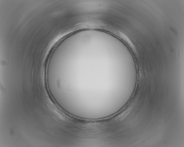 X0000090971035200708021138