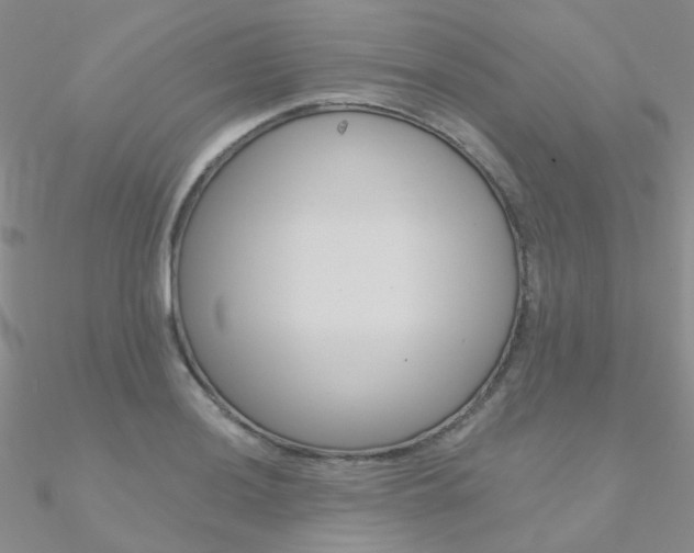X0000090971036200708021138