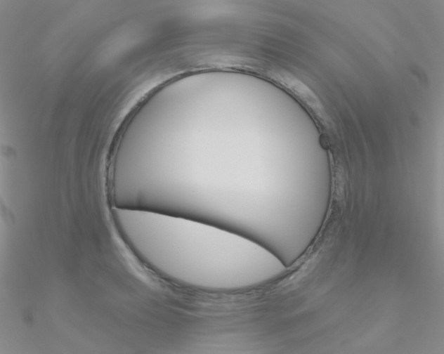 X0000090971039200708021138