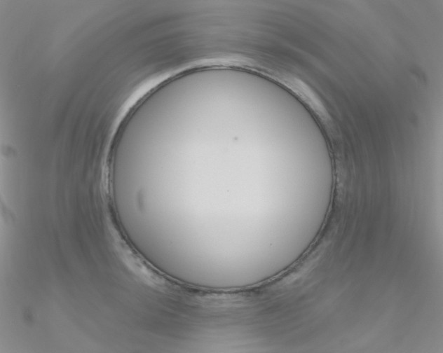 X0000090971044200708021138