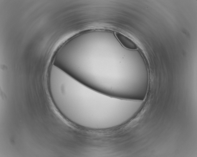 X0000090971045200708021138