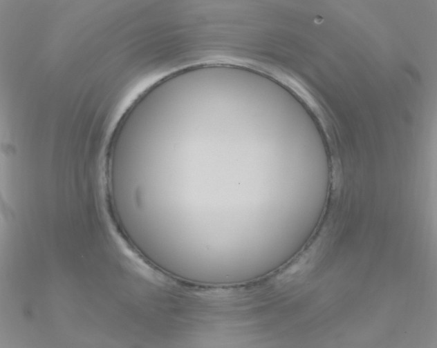 X0000090971048200708021138
