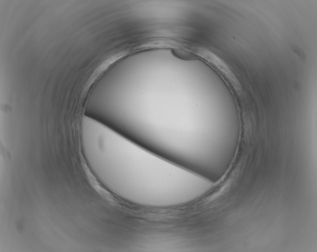 X0000090971049200708021138
