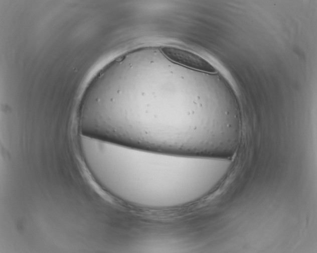 X0000090971053200708021138