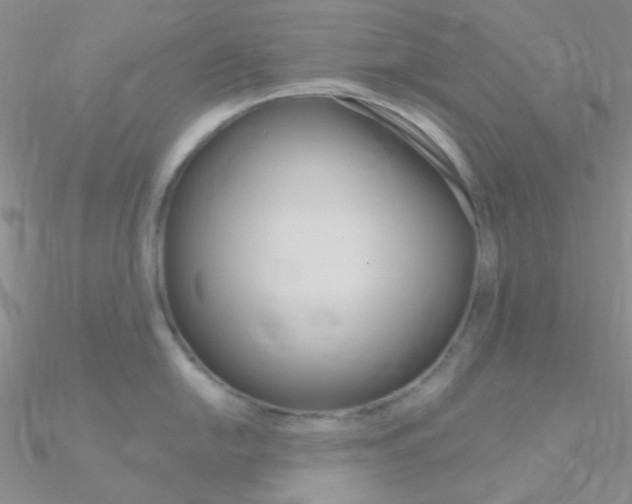 X0000090971054200708021138