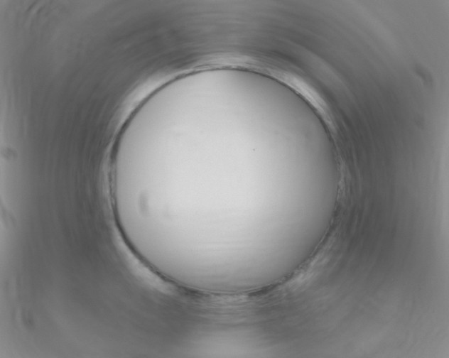 X0000090971055200708021138