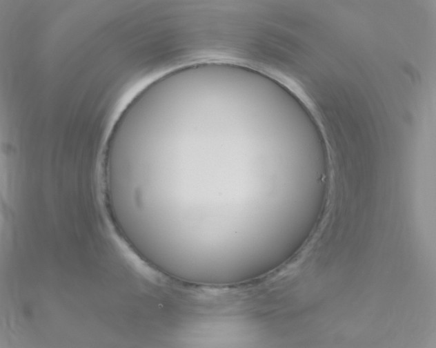 X0000090971056200708021138
