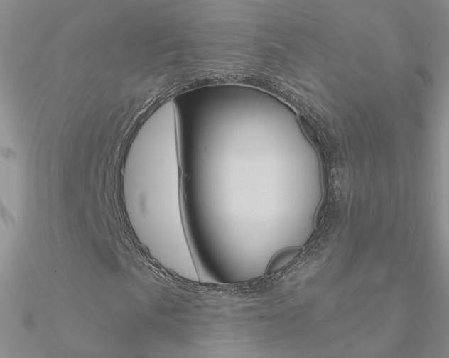 X0000090971057200708021138