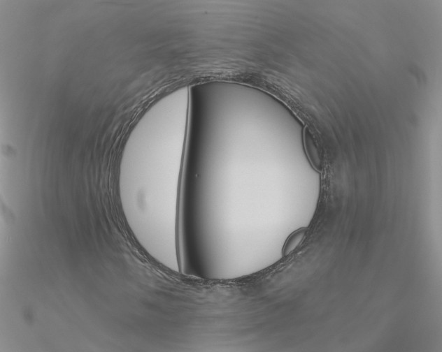 X0000090971058200708021138