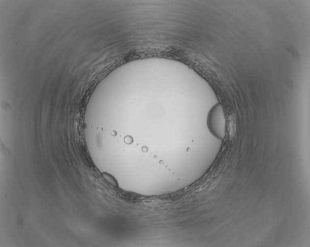 X0000090971059200708021138