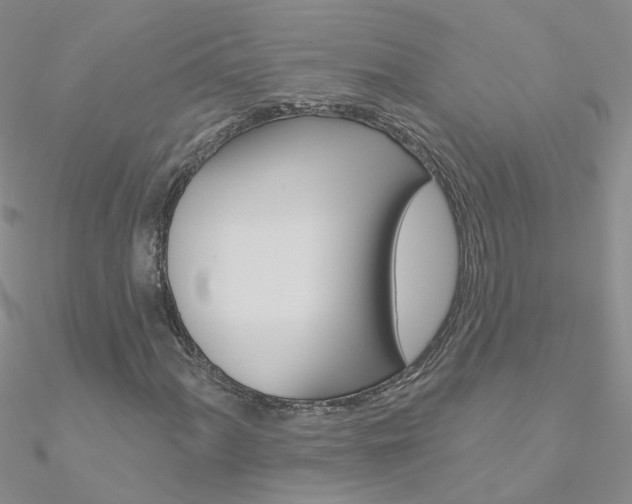 X0000090971060200708021138