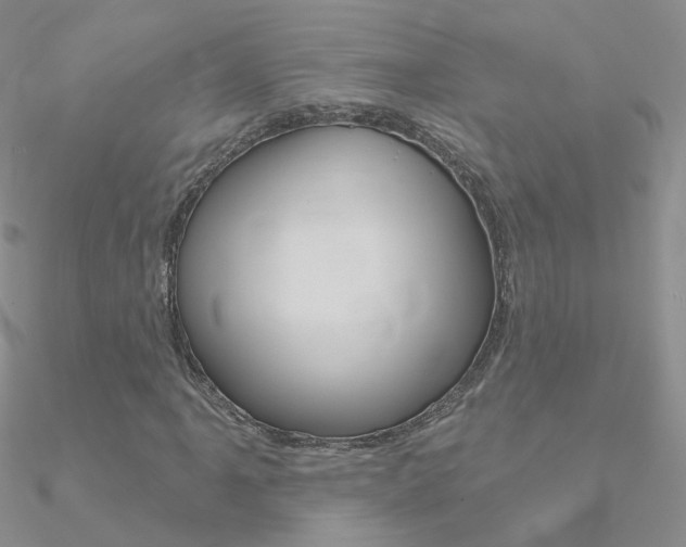 X0000090971061200708021138