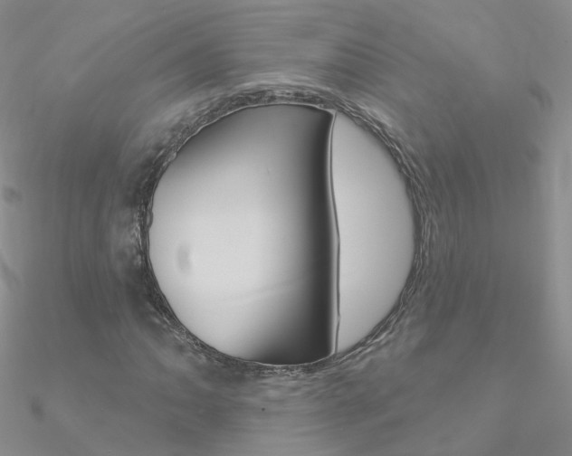 X0000090971062200708021138
