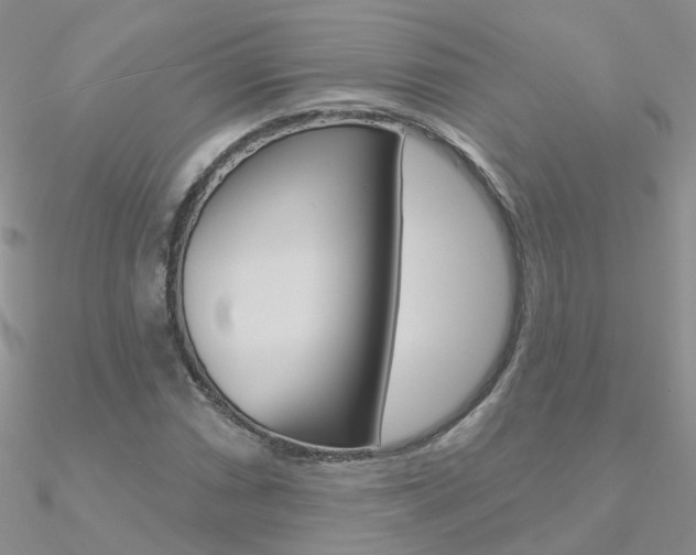 X0000090971066200708021137