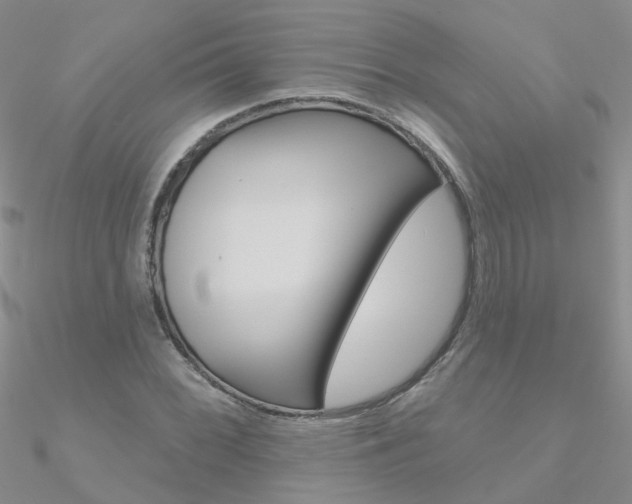 X0000090971068200708021137
