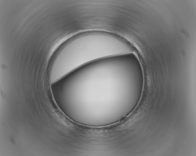 X0000090971069200708021137