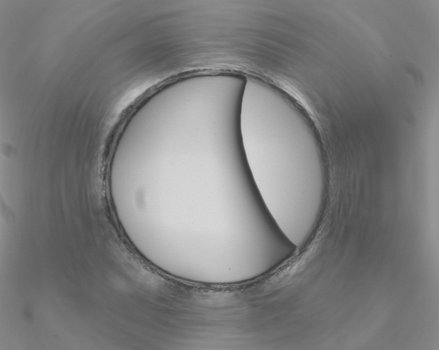 X0000090971071200708021137