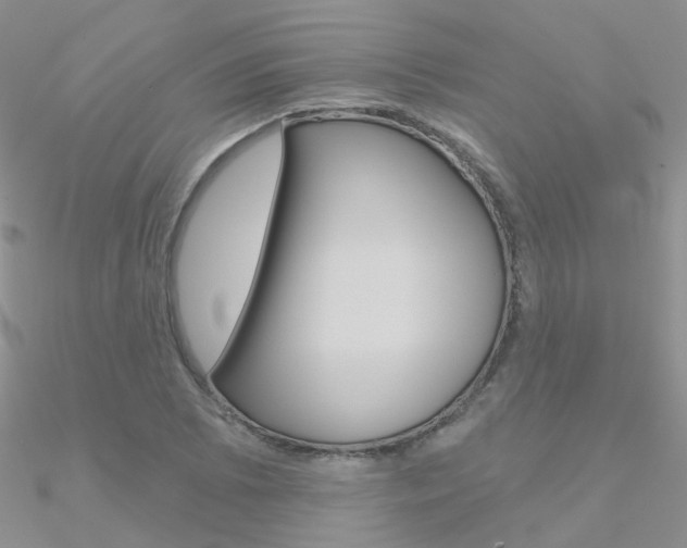X0000090971073200708021137