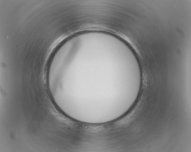 X0000090971074200708021137