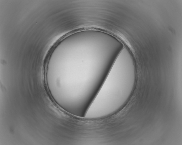 X0000090971076200708021137