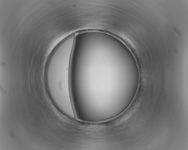 X0000090971077200708021137