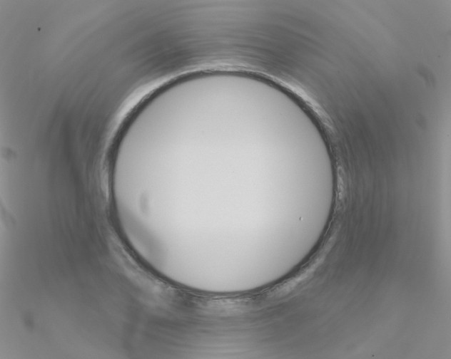 X0000090971078200708021137