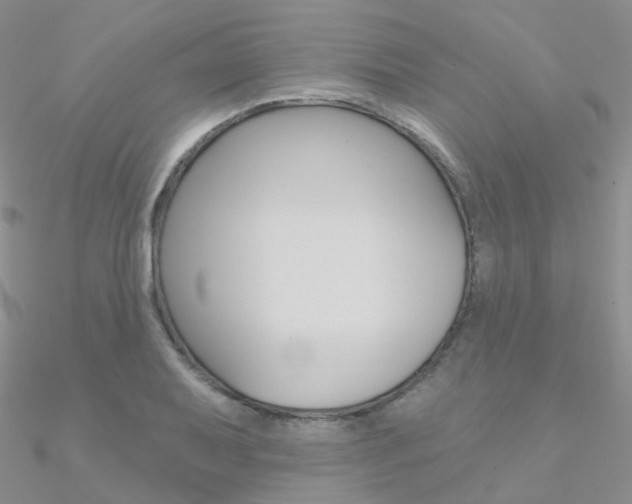 X0000090971079200708021137