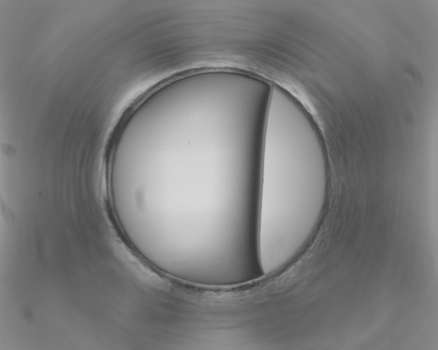 X0000090971080200708021137