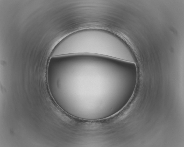X0000090971081200708021137