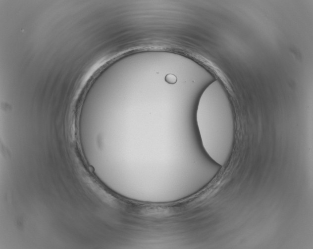 X0000090971083200708021137