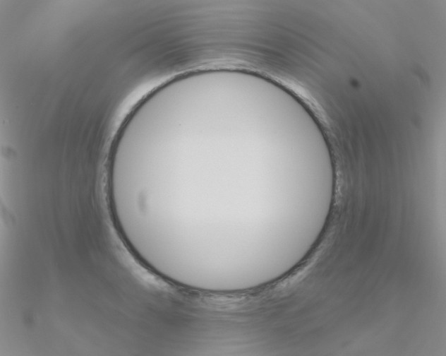 X0000090971086200708021137